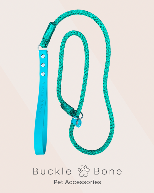 Rope / Biothane leads (Teal)