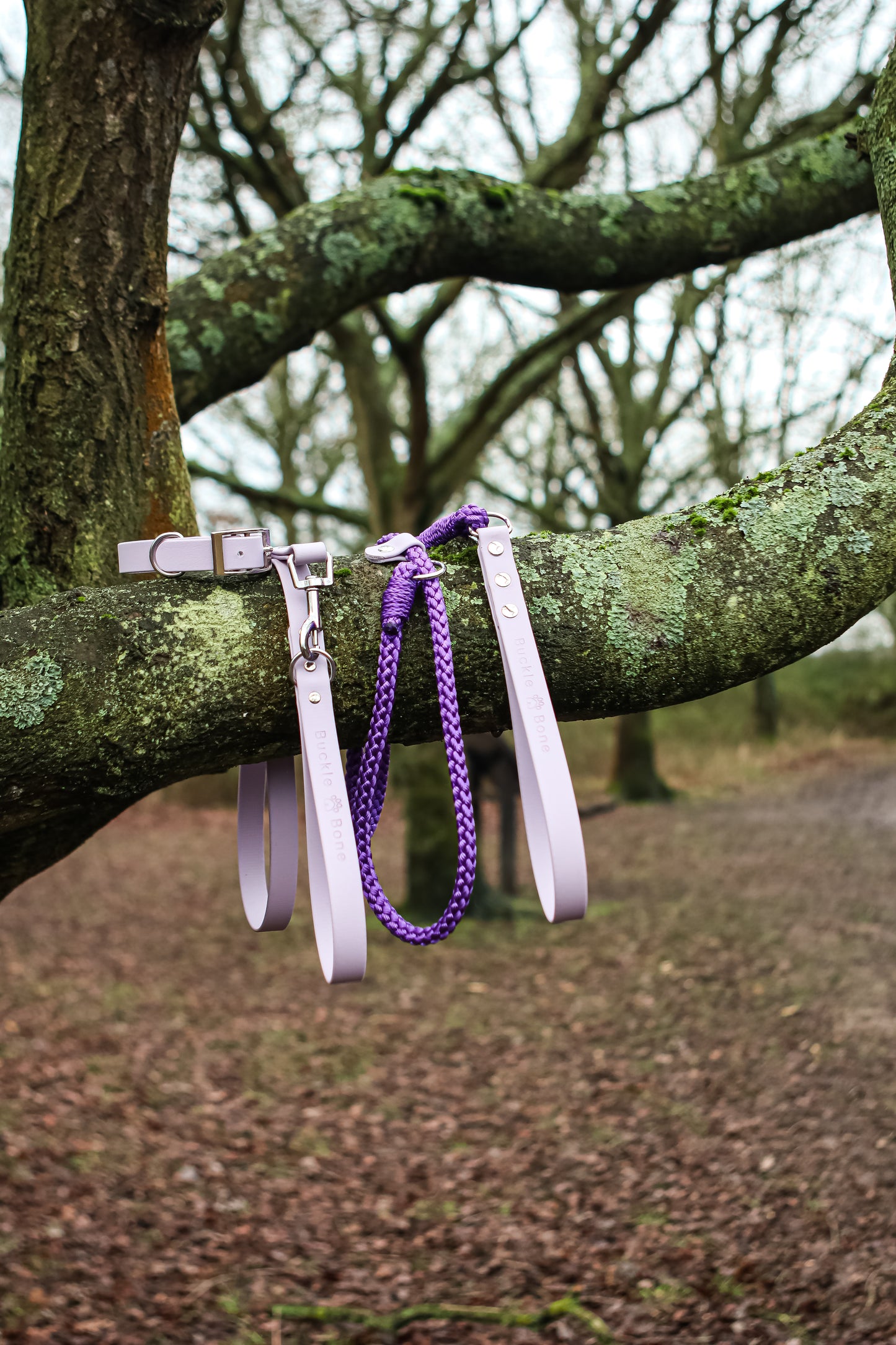 Classic BioThane© Collar - Pastel Purple