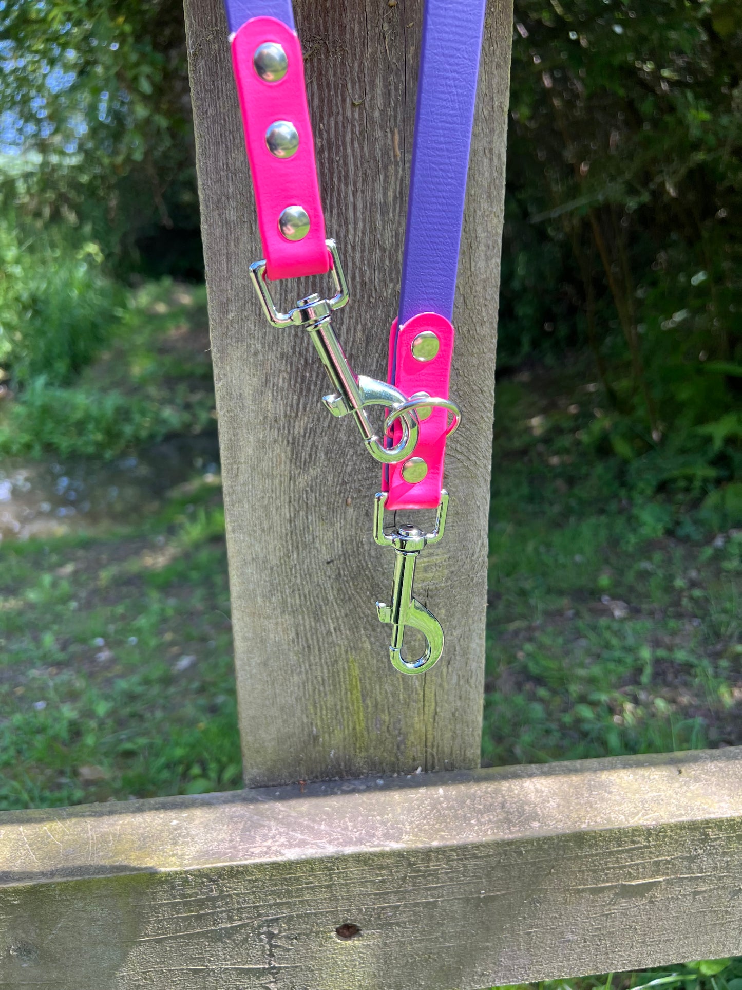 BioThane® Adjustable Dog Training Lead - Purple/Pink