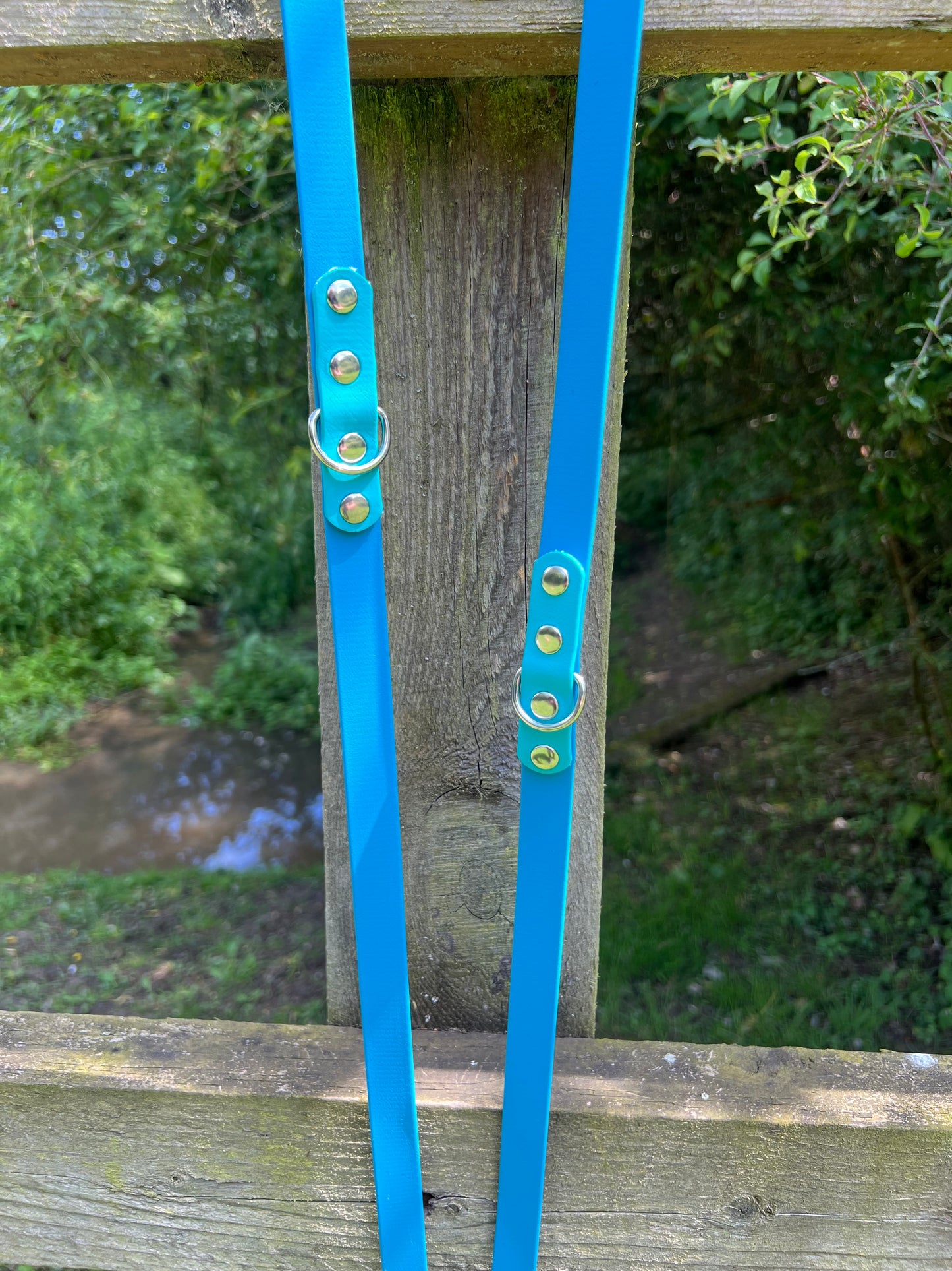BioThane® Adjustable Dog Training Lead - Lagune/Teal