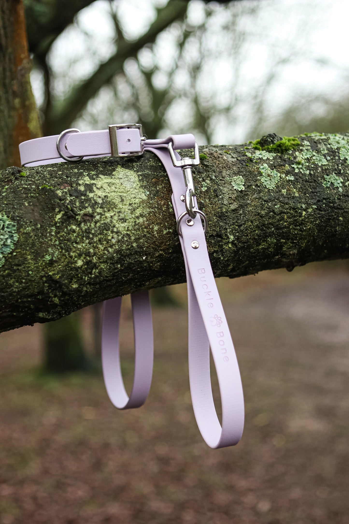 Classic BioThane© Collar - Pastel Purple