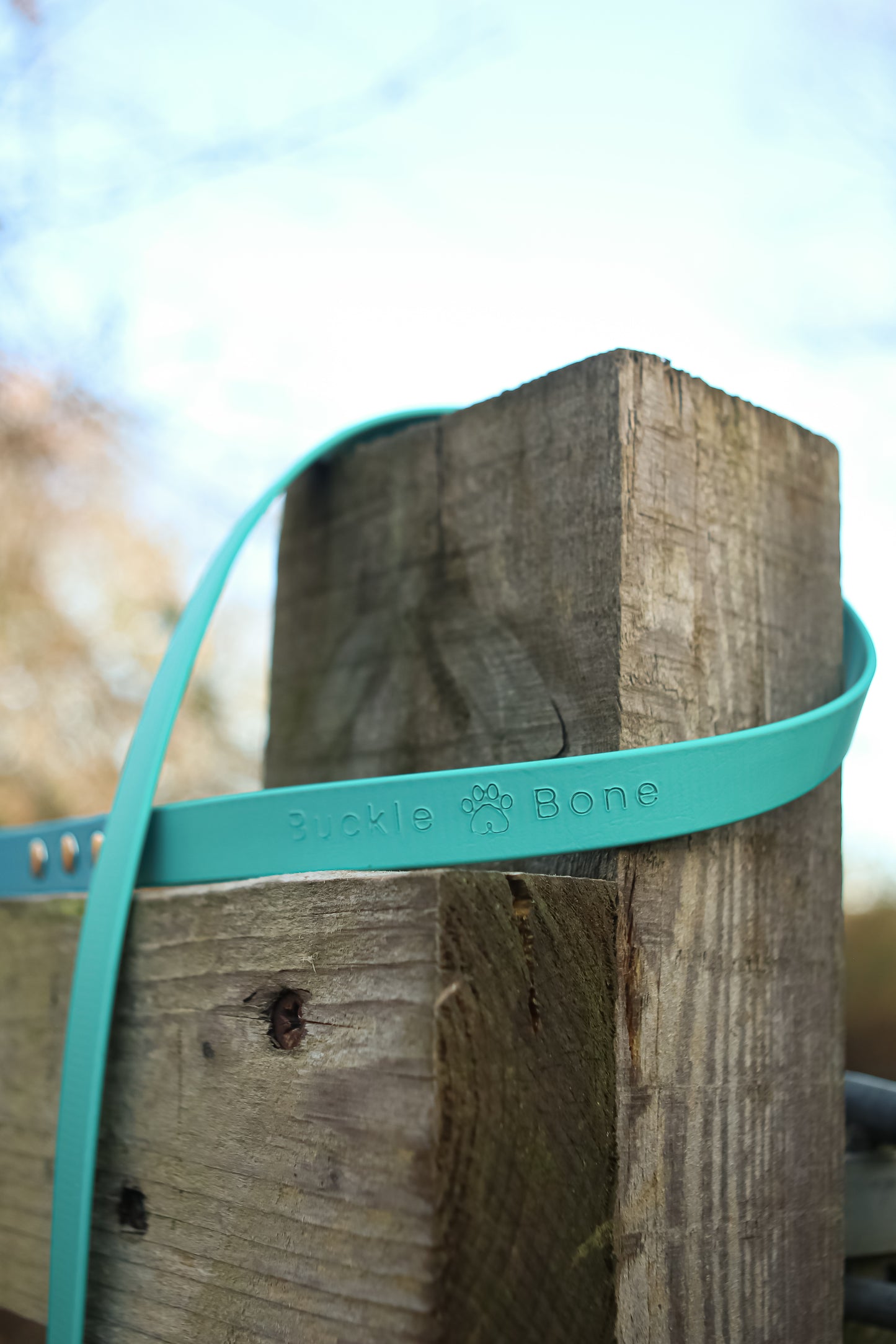 Twin Colour BioThane© Lead Dog Lagune & Teal