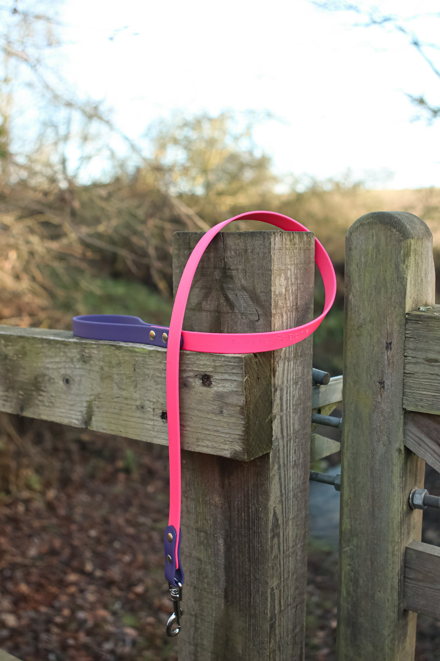 Twin Colour BioThane© Lead Dog Violet & Pink